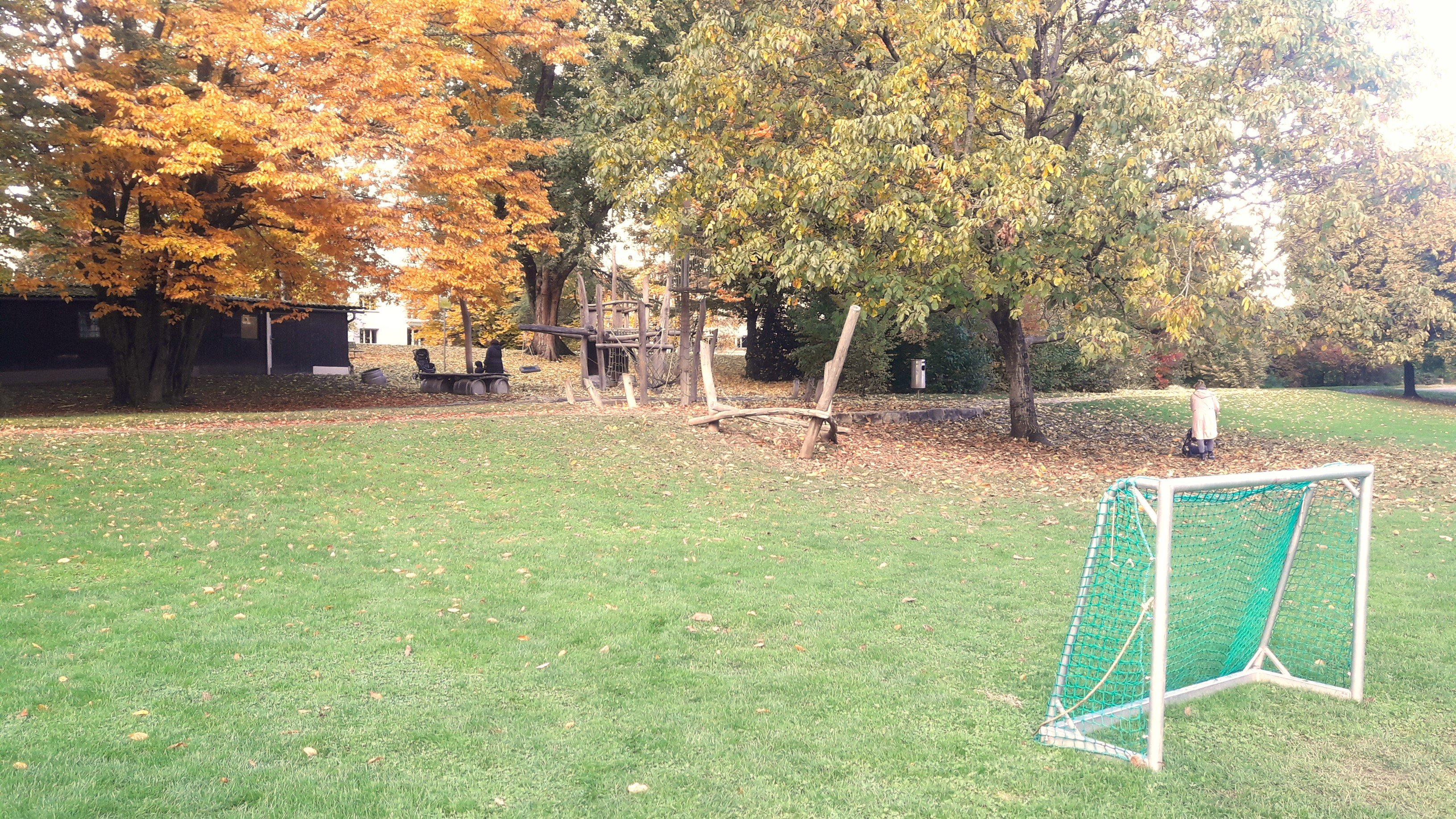 Dandelion Spielplatz